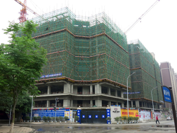 成都·神僊樹繽紛